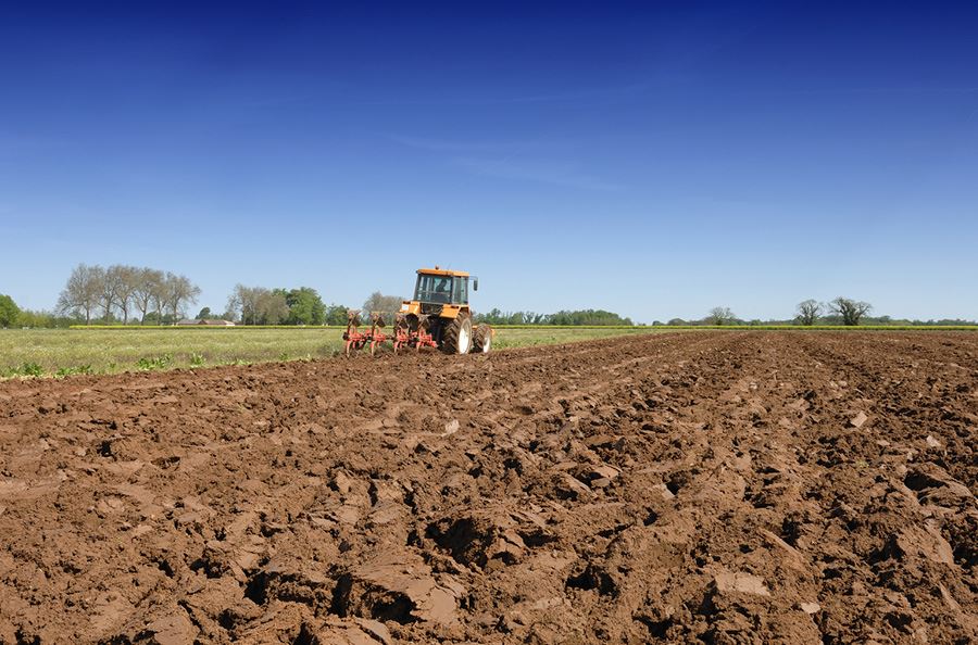 Image de la catégorie Cover-Crops
