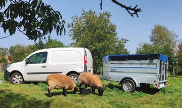 Image de Moutonnière/Cochonnière 500M3 SF Plancher alu